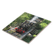 ウェルシュ蒸気列車。 タイル (側面)