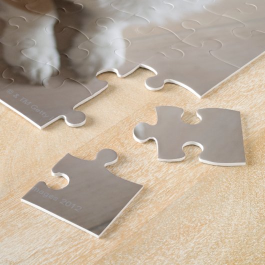 ウェルシュ・ペンブロークコルギ犬が木の床に横たわっている。 ジグソーパズル (側面)