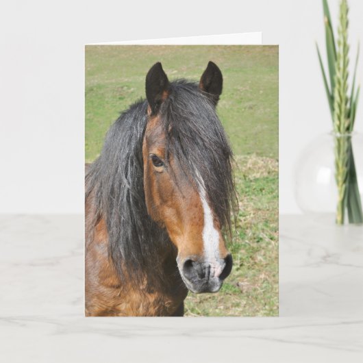 ウェルシュD誕生日 カード (正面)