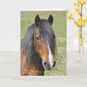 ウェルシュD誕生日 カード (黄色い花)