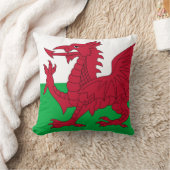 ウェルズ・ドラゴン~ウェールズ州旗 クッション (ブランケット)
