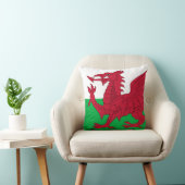 ウェルズ・ドラゴン~ウェールズ州旗 クッション (椅子)
