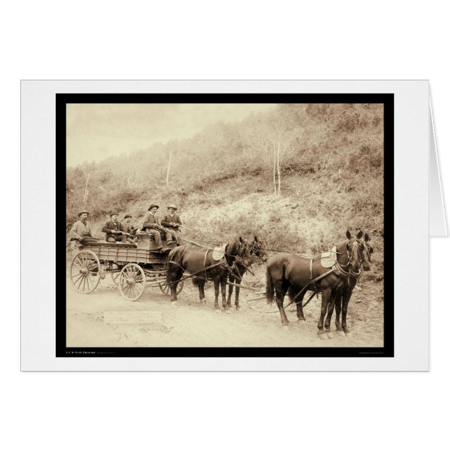 ウェルズ・ファーゴの枯れ木の宝物ワゴンSD 1890年 (正面横)