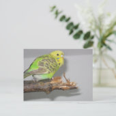 ウェルネスチ ポストカード (スタンド正面)