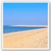 ウェルフリートビーチシールビーチ写真 シール (正面)