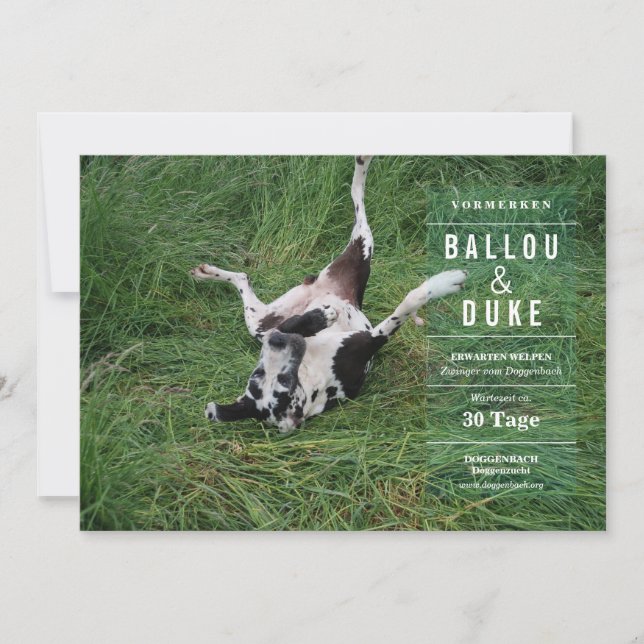 ウェルペンアンクンディグン (正面)