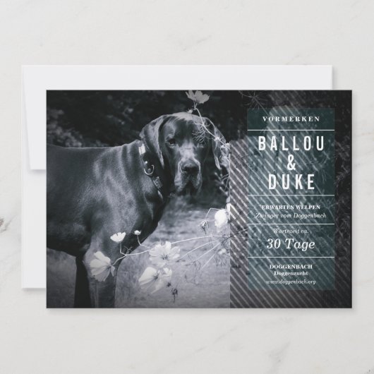 ウェルペンアンクンディグン (正面)