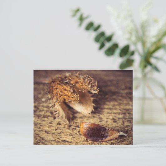 ウェンインSamen zum Baum wird ... ポストカード (スタンド正面)