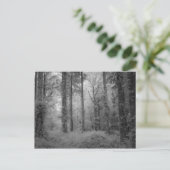 ウェンディー・ウッズの妖精No1 ポストカード (スタンド正面)