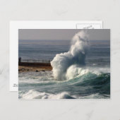 ウェーブクラッシュシールラジョラ ポストカード (正面/裏面)