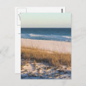 ウェーブ ポストカード (正面/裏面)