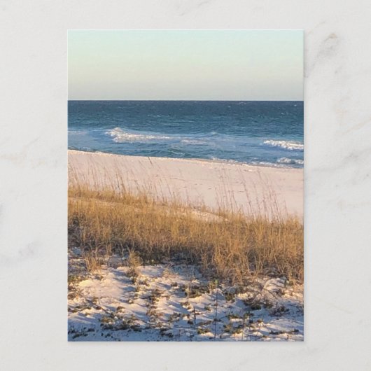 ウェーブ ポストカード (正面)