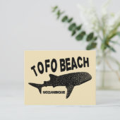 ウェールサメと泳ぐ – Tofoビーチモザンビーク ポストカード (スタンド正面)