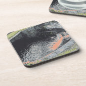 ウェールズのオレンジ色のプール コースター (左側)