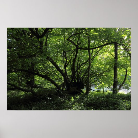 ウェールズのカーディフ州ビュートパーク ポスター (正面)