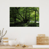 ウェールズのカーディフ州ビュートパーク ポスター (キッチン)