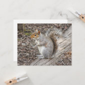 ウェールズのカーディフ、グレイリス・ビュート公園。 カード (正面/裏面インサイチュ)