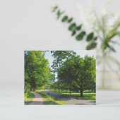 ウェールズのカーディフ、ビュート・パーク。ポストカード ポストカード (スタンド正面)