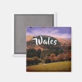 ウェールズのペナントバレーパスチュール マグネット (正面/裏面)