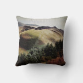 ウェールズのマウンテンビューズ クッション (裏面)