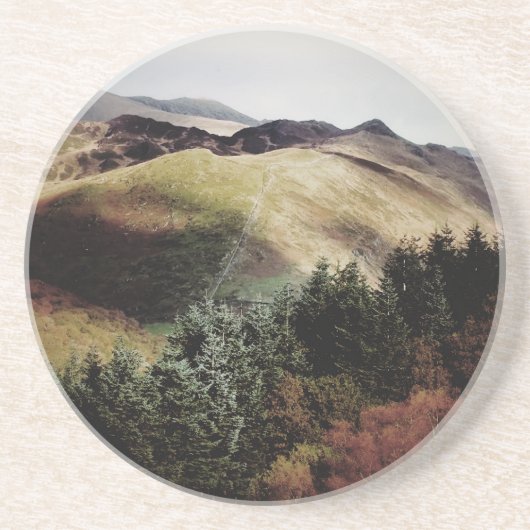 ウェールズのマウンテンビューズ コースター (正面)