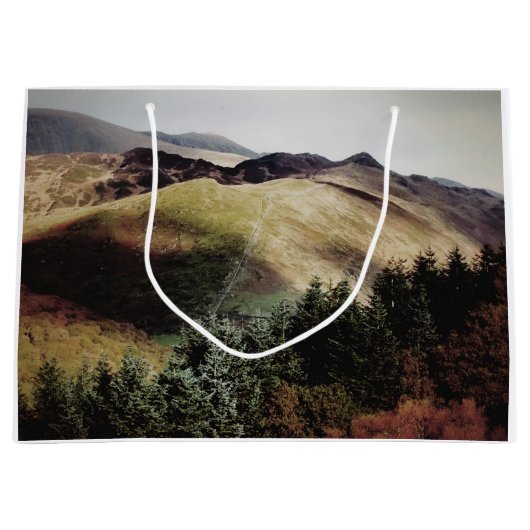 ウェールズのマウンテンビューズ ラージペーパーバッグ (正面)