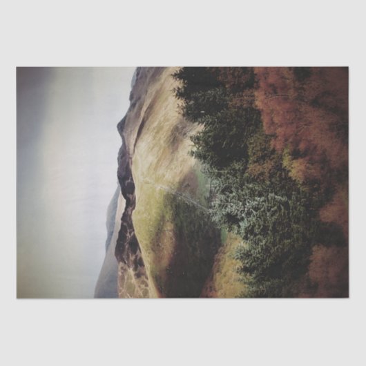 ウェールズのマウンテンビューズ 薄葉紙 (正面)