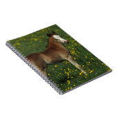 ウェールズの子馬 ノートブック (右側)