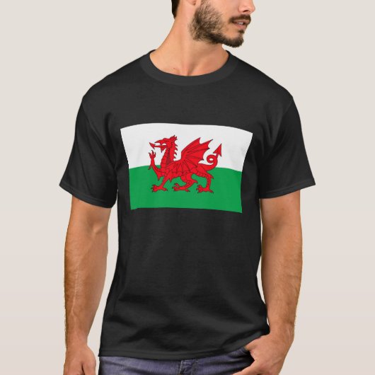 ウェールズの旗のTシャツ Tシャツ (正面)