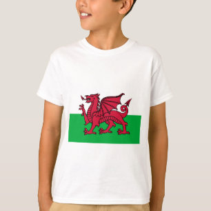 ウェールズの旗 Tシャツ