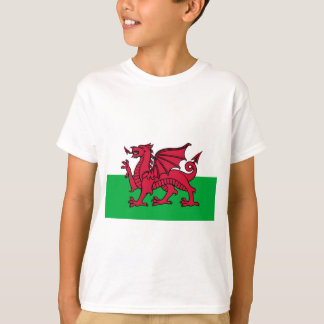 ウェールズの旗 Tシャツ