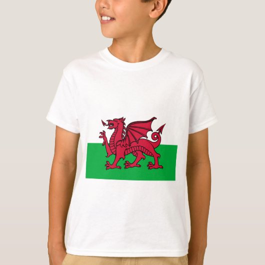 ウェールズの旗 Tシャツ (正面)