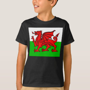 ウェールズの旗 Tシャツ