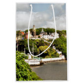 ウェールズの村 ミディアムペーパーバッグ (正面)