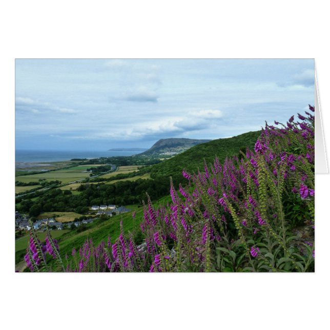 ウェールズの海岸線 (正面横)