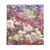 ウェールズの白とピンクの春の花 ノートパッド (正面)