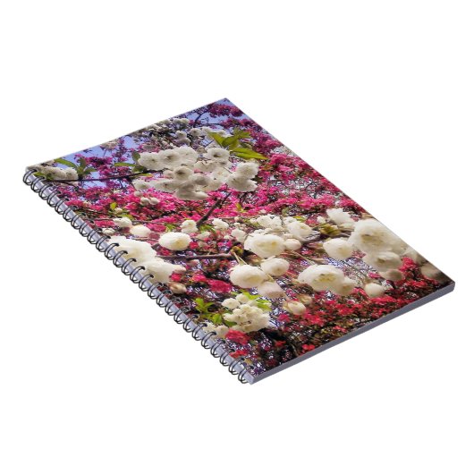ウェールズの白とピンクの春の花 ノートブック (右側)