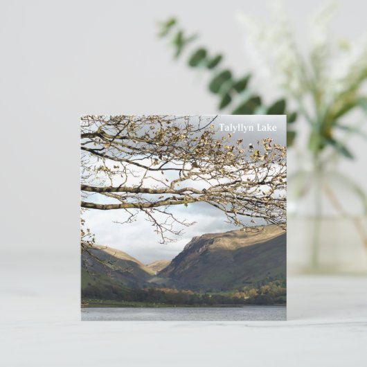 ウェールズの見解 カード (スタンド正面)