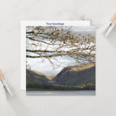 ウェールズの見解 カード (正面/裏面インサイチュ)