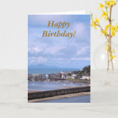 ウェールズの見解 カード (黄色い花)