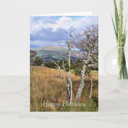 ウェールズの見解 カード (正面)