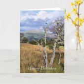 ウェールズの見解 カード (黄色い花)