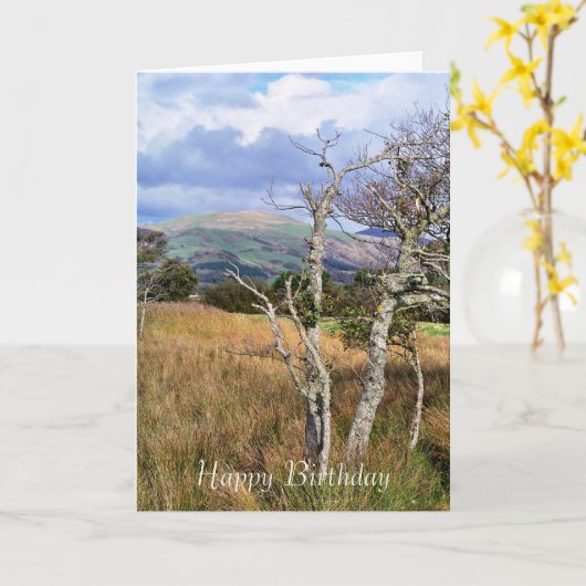 ウェールズの見解 カード (黄色い花)