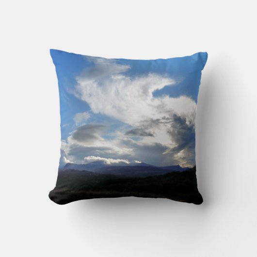 ウェールズの見解 クッション (正面)