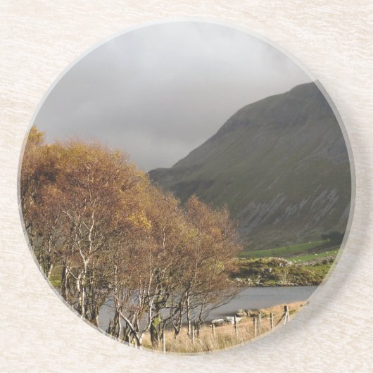 ウェールズの見解 コースター (正面)