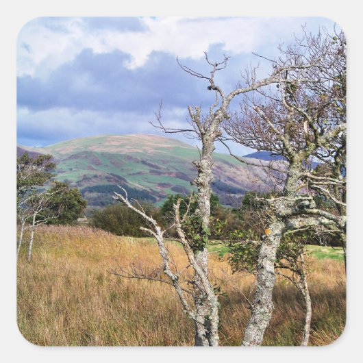 ウェールズの見解 スクエアシール (正面)