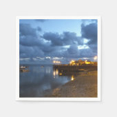 ウェールズの見解 スタンダードカクテルナプキン (正面)