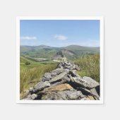 ウェールズの見解 スタンダードカクテルナプキン (正面)