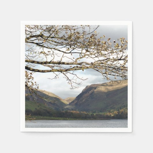 ウェールズの見解 スタンダードカクテルナプキン (正面)