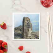 ウェールズの見解 スタンダードカクテルナプキン (インサイチュ)